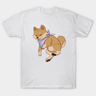 Transgender Pride Shiba Inu T-Shirt